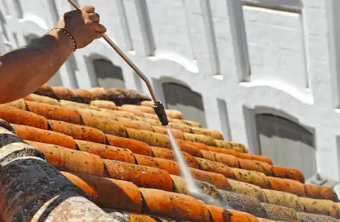 Nettoyage de toitures - Estavar